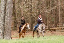 USA-Georgia-Heartland of Georgia SC Ranch